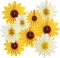 9PCS Sunflower Party Decorations Sunflower Paper Fans Yellow Birthday Decorations Hanging Paper Flower Fan